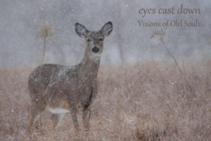 Cover for eyes cast down album Visions of Old Souls.