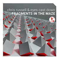 Fragments in the Maze - cover