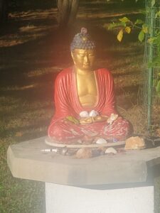 TMBCC Outdoor Buddha in Light