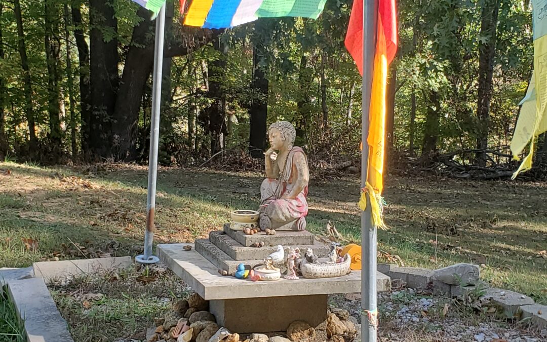 Buddha near the Koi Pond at TMBCC